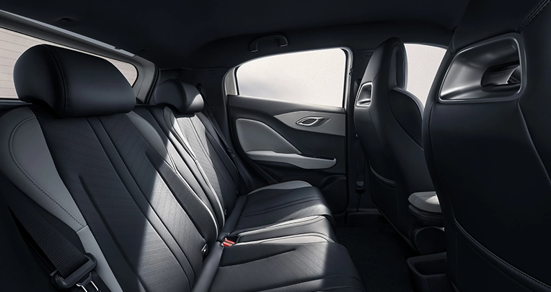 dolphin surf - Comfort in every journey