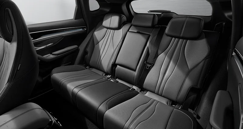 Sealion 6 Panoramic sunroof